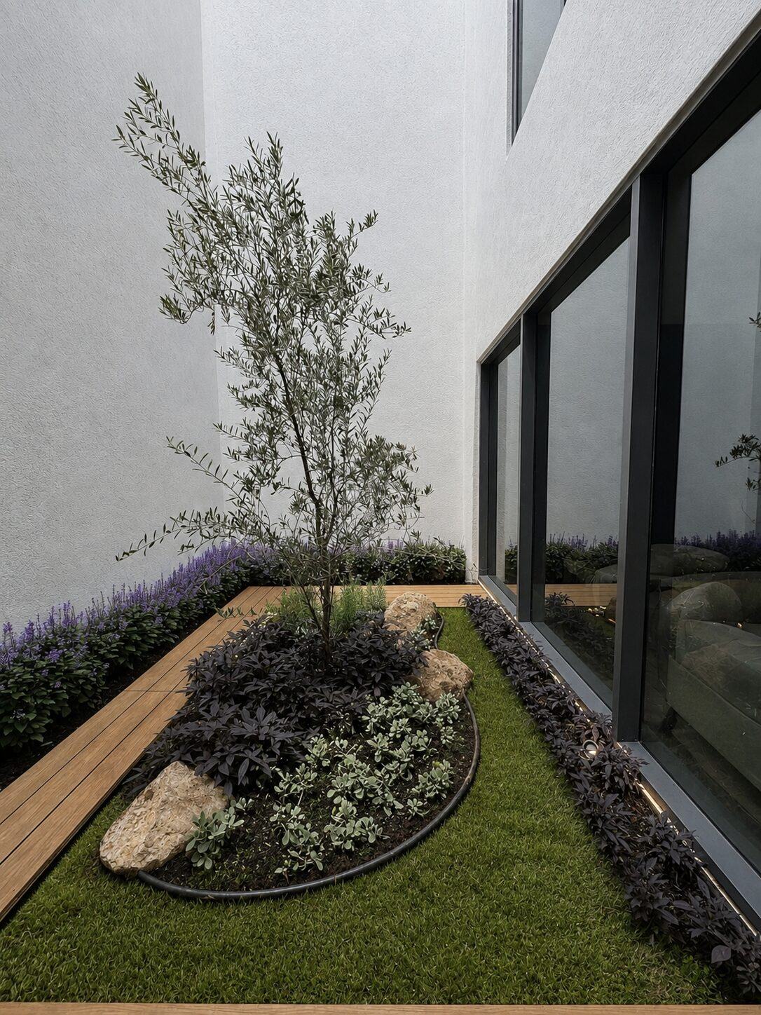 Jardín interior con olivo y ventanales de piso a techo · Casa Britania por Mircon en Morelia